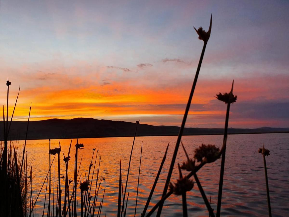 Hotel - Titicaca Dora Puno Eksteriør billede